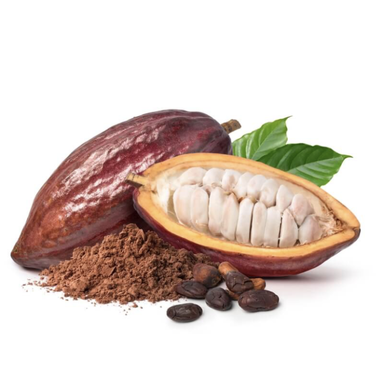 Cacao