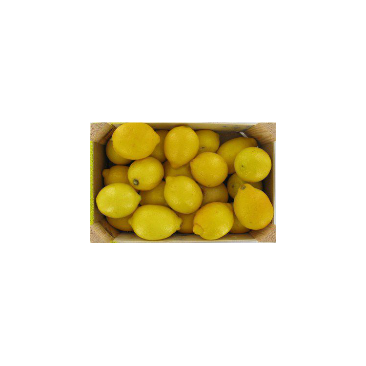 Citron jaune carton