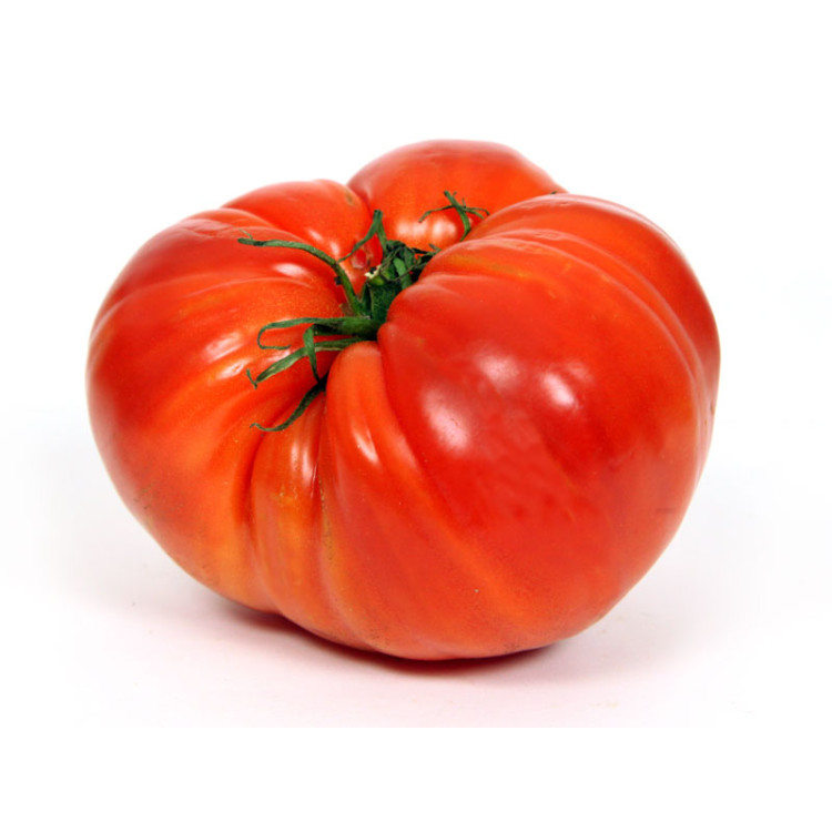 Tomate coeur boeuf